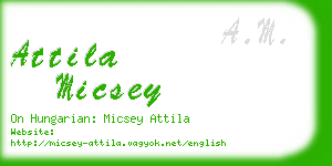 attila micsey business card